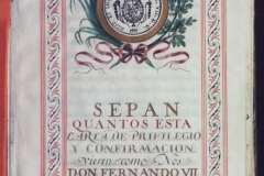 privilegiofernandoVII_1