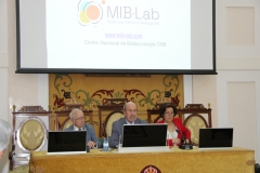 IMG_6491_1